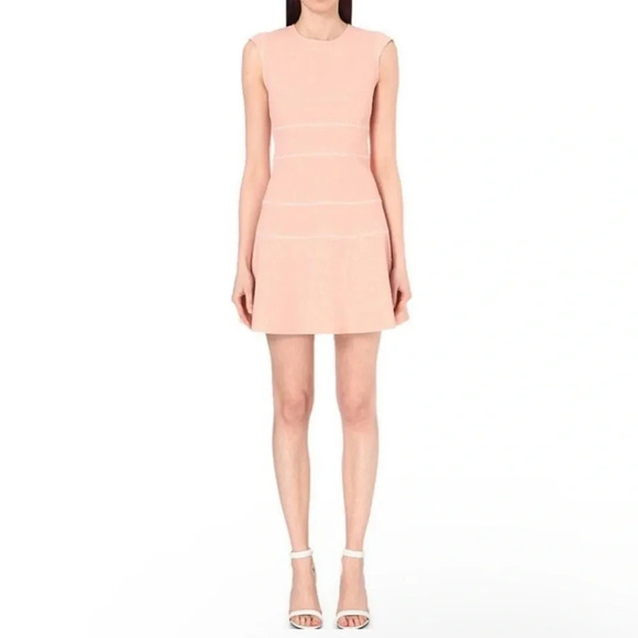 Sandro Paris Remind Bodycon Fit and Flare Dress Size 2 Pink Cap Sleeve - Picture 1 of 7